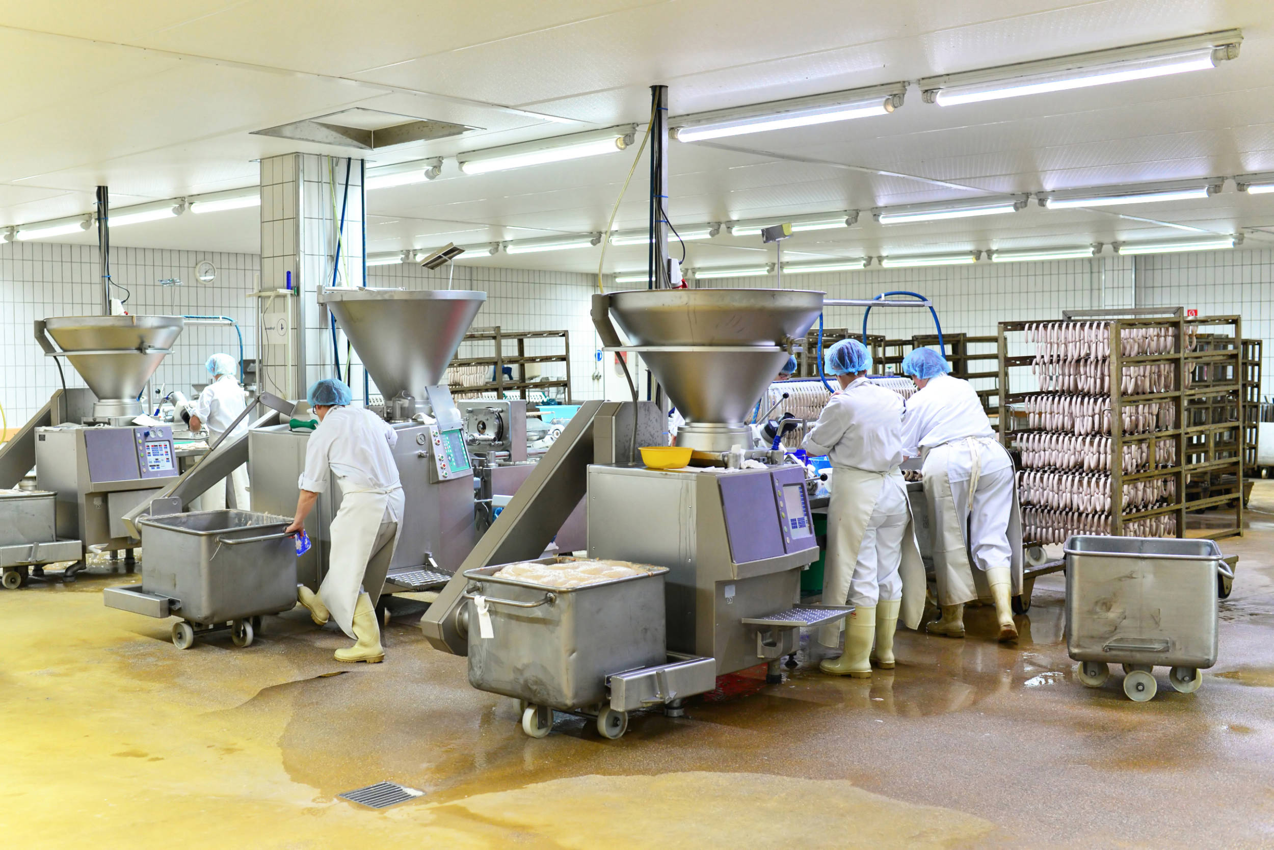 Lire la suite à propos de l’article Normes d’hygiène en agro-alimentaire et maitrise des populations de nuisibles